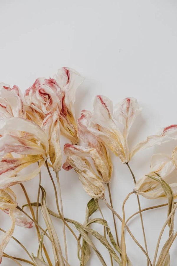 3 dekorationsideer med tørrede tulipaner